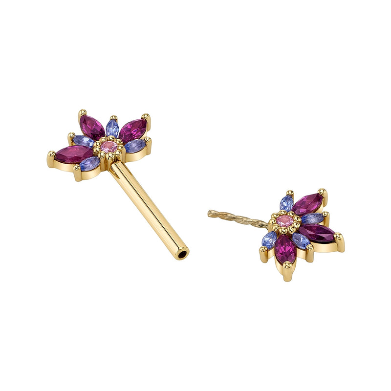 BVLA Small Starling Barbell