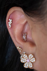 BVLA Mini Genesis (Curving To the  Left)