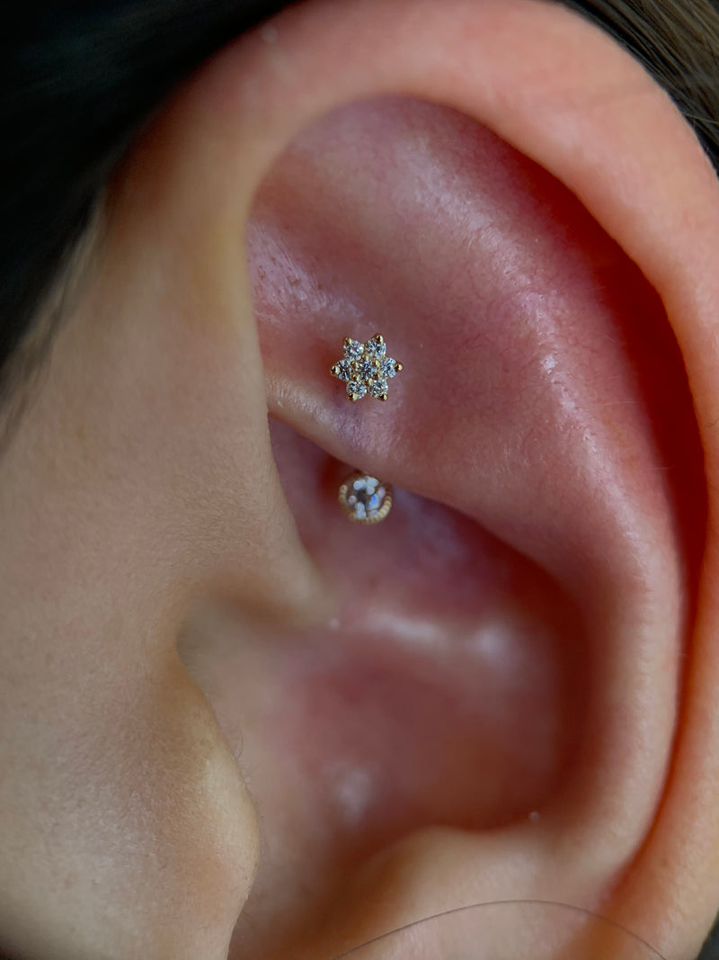 Rook Piercing