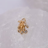 Pupil Hall Wilder Now Charm