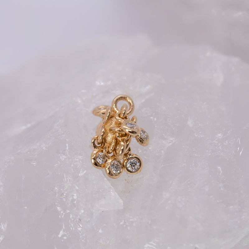 Pupil Hall Wilder Now Charm