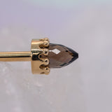 BVLA Crown Bullet Barbells