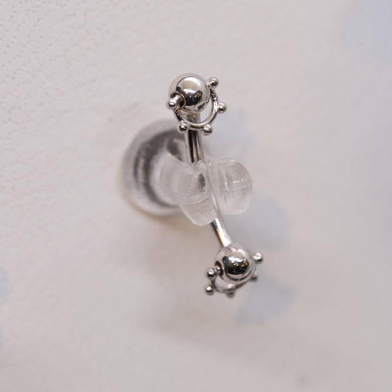 Pupil Hall Rookie Curve - Spaced