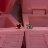 Pupil Hall GIVE100 Formidable