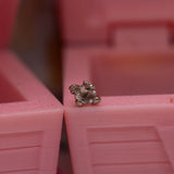 Pupil Hall GIVE100 Formidable