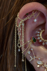 Pupil Hall Bird's Nest Lynx 2025