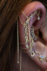 Pupil Hall Bird's Nest Lynx 2025