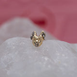 Pupil Hall Mew Mew 2025 End