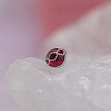 Pupil Hall Get Money 2025 End