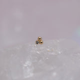 Pupil Hall Little Secret Tri Me