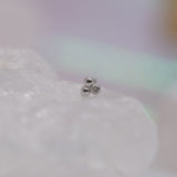 Pupil Hall Little Secret Tri Me