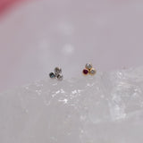 Pupil Hall Little Secret Tri Me REMIX