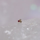 Pupil Hall Little Secret Tri Me REMIX