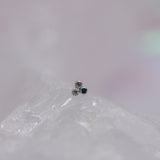 Pupil Hall Little Secret Tri Me REMIX