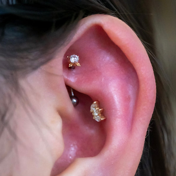 Rook Piercing