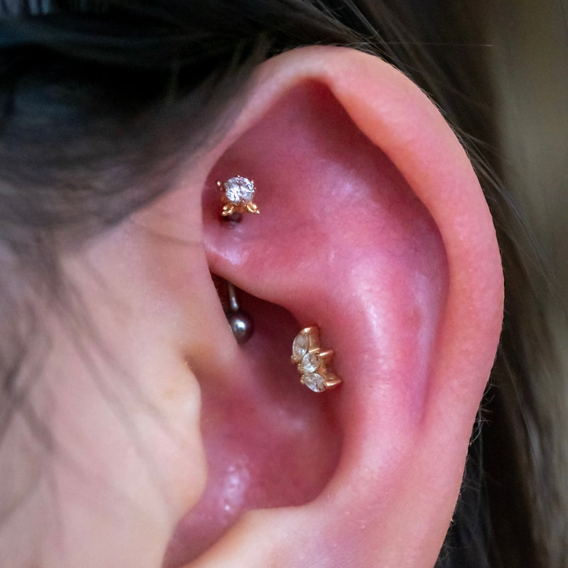Rook Piercing