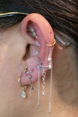 Pupil Hall Bird's Nest Lynx 2025