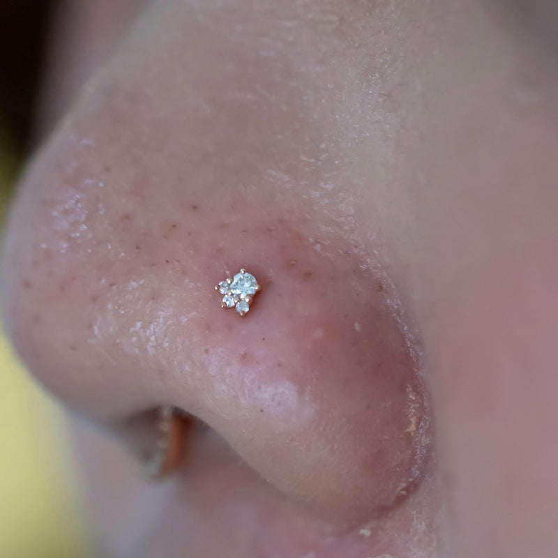 Nostril Piercing