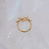 BVLA Amity Seam Ring - Daith Orientation