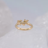 BVLA Amity Seam Ring - Conch Orientation