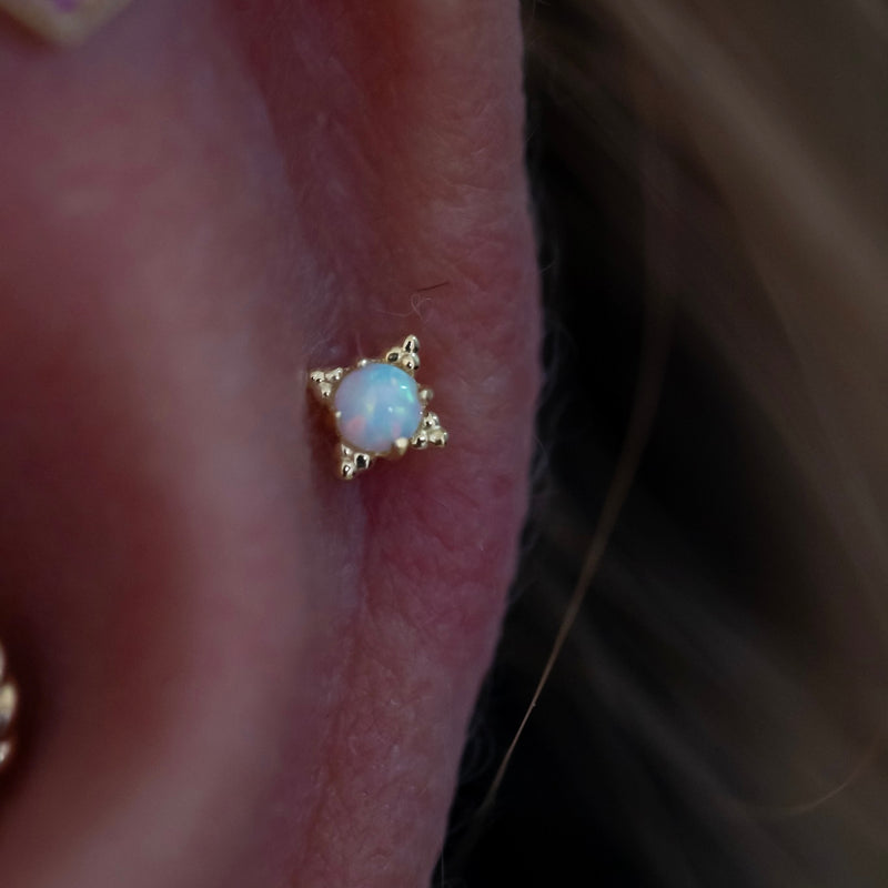 Helix / Flat / Faux Rook Piercing