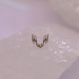 Pupil Hall Curiouser Slip (Jewellery Slip)