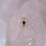 BVLA Pan Charm
