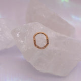 Pupil Hall Joy Wonder - Ombré Diamonds