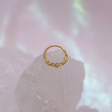 Pupil Hall Nectar Seam Ring
