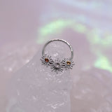 BVLA Solana - Seam Ring