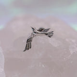 Pupil Hall Birdie End
