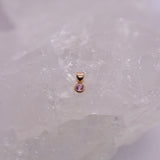 Pupil Hall Warm Slip (Jewellery Slip)