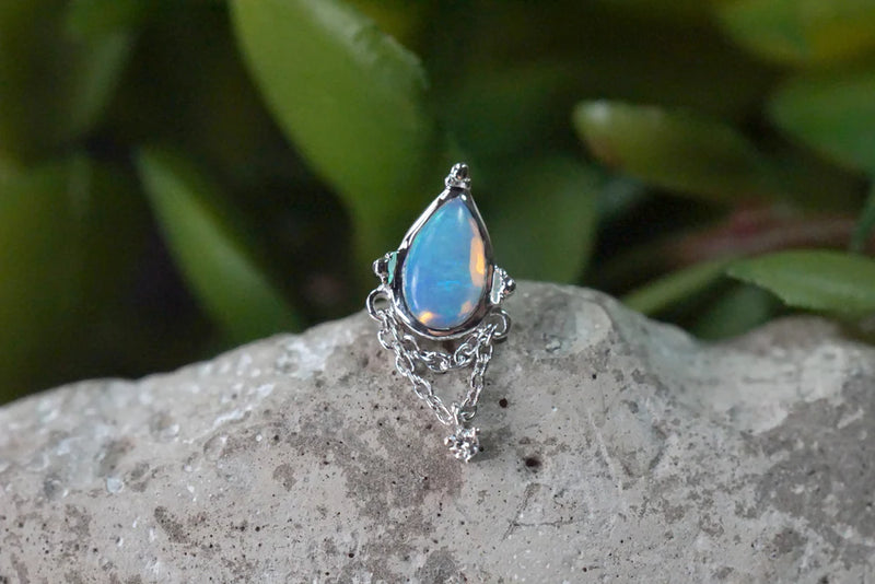 Modern Mood Moondance