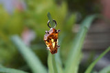 Modern Mood Limited Edition - Freeform Spessartite Garnet Charm