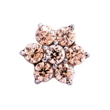 Junipurr Jewelry Titanium Flower Gem (6 petals)