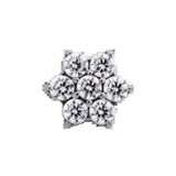 Junipurr Jewelry Titanium Flower Gem (6 petals)