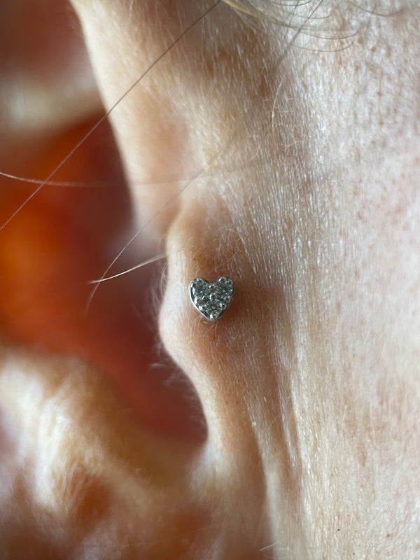 Tragus/Anti-Tragus Piercing