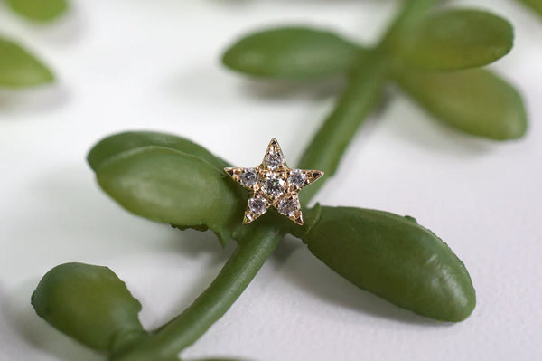 Modern Mood Charlotte