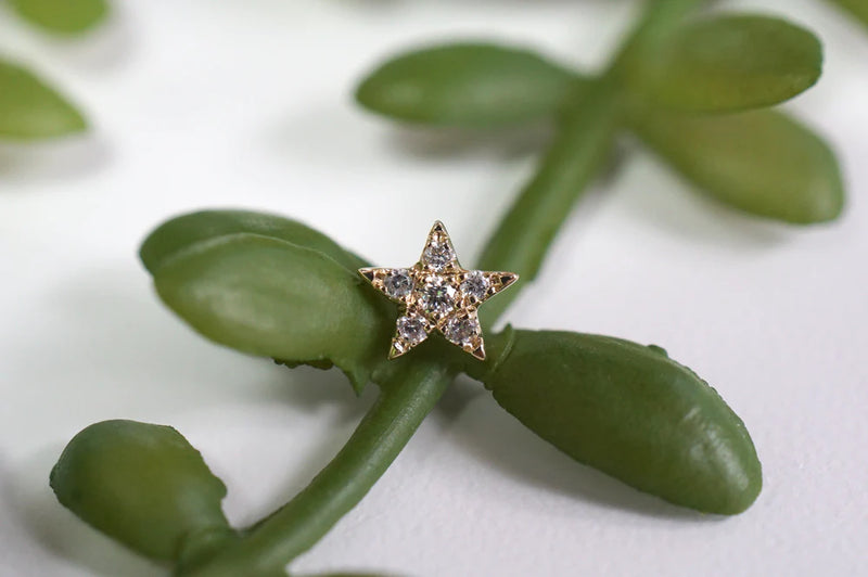 Modern Mood Charlotte