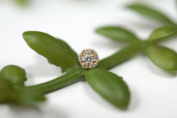 Modern Mood Hex Mini