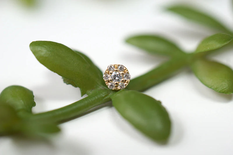 Modern Mood Hex Mini