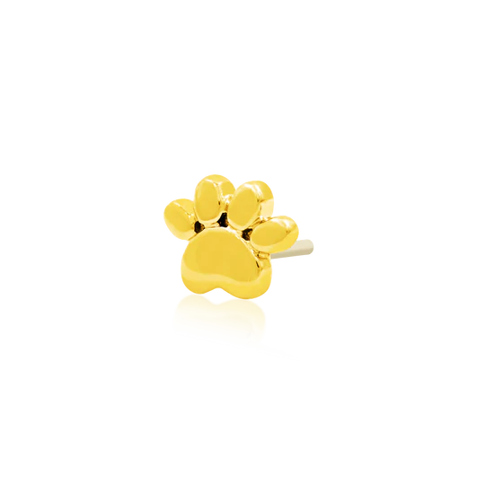 J-76 Junipurr Gold Dog Paw