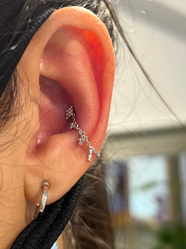 Conch Piercing