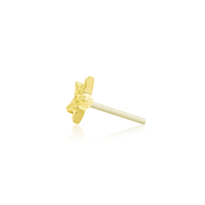 Junipurr Jewelry Hammered Star